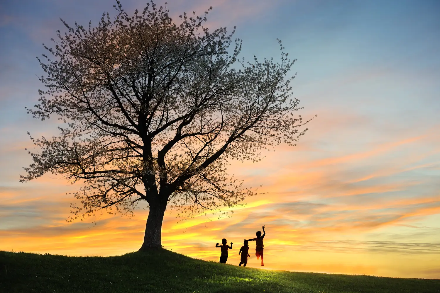 What Is the True Meaning of Life?
